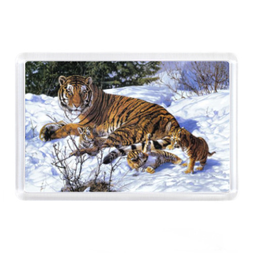 Магнит Тигр на снегу