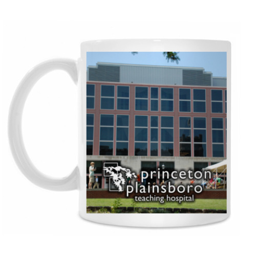 Кружка Princeton plainsboro