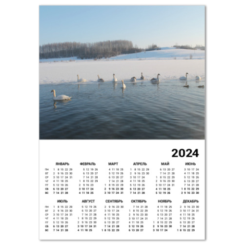 Календарь Лебеди Городищенского озера