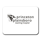 Princeton plainsboro