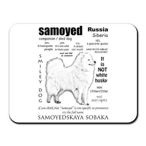 Коврик для мыши FAQ. Adult Samoyed