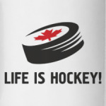  Life is hockey!