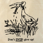 Никогда не сдавайся!