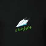 I love flying