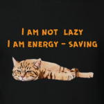 Я не ленивый, я энергосберегающий. Смешной кот.
