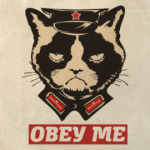 Obey the kitty