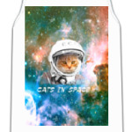 Котик космический