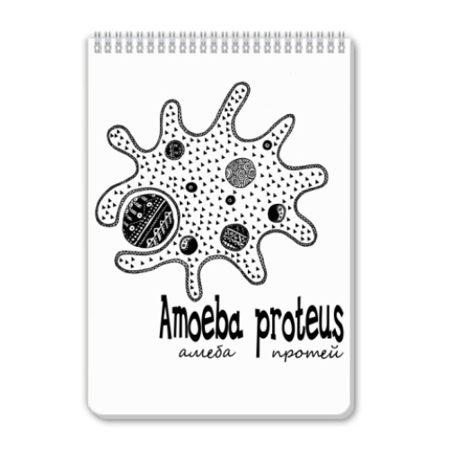 Блокнот Amoeba proteus