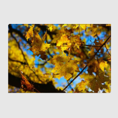 Холст Осенние листья