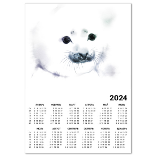 Календарь Малыш тюлень