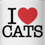I love cats!