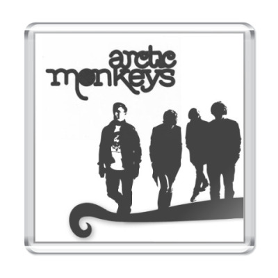 Arctic Monkeys Футболки Купить