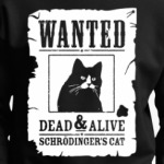Кот Шрёдингера