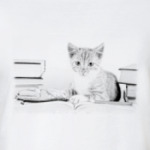Котенок