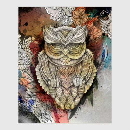 Постер Owl