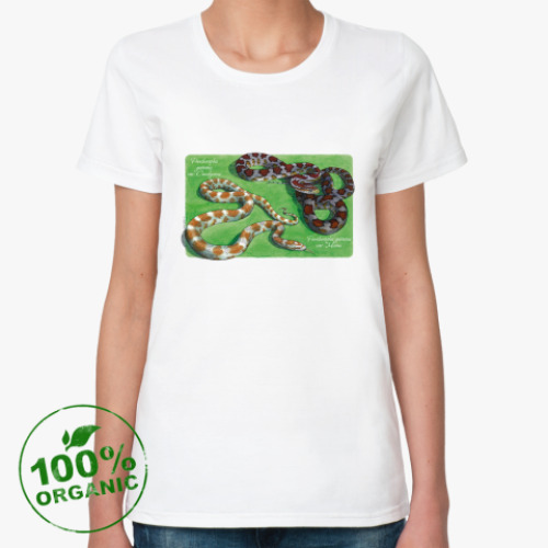 Женская футболка из органик-хлопка E.guttata miami
