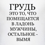 Грудь это