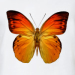 Бабочка ORANGE
