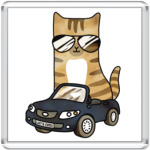Крутой кот за рулём автомобиля