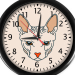 Кот