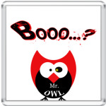 Mr.OWL