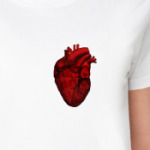 Анатомическое Сердце