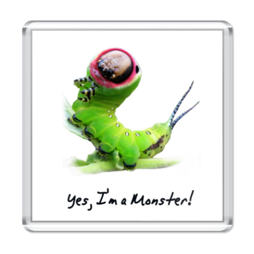 Магнит Yes, I'm a Monster!