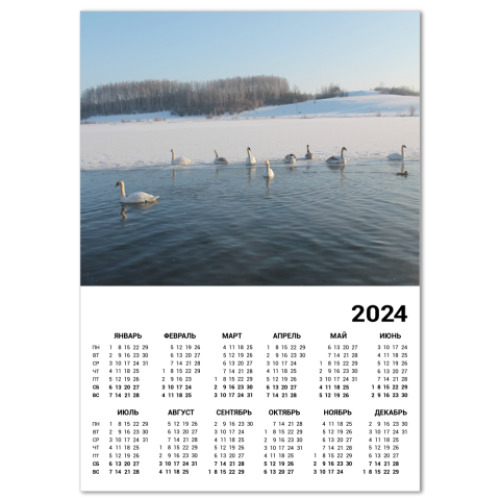 Календарь Лебеди Городищенского озера