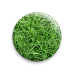  Зеленая трава