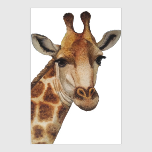 Постер Жираф