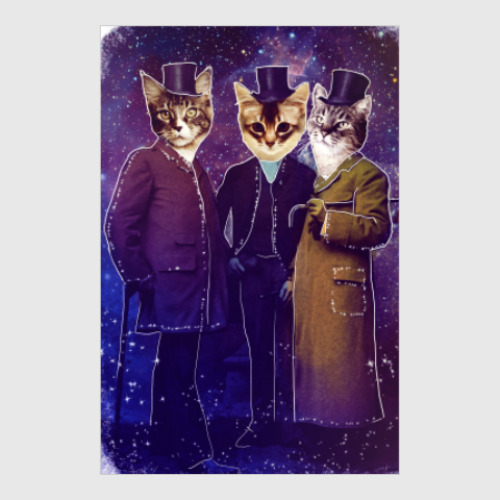 Постер Три космических кота