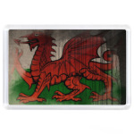 Уэльс, флаг