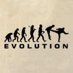  Evolution