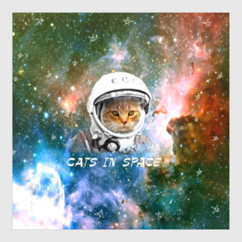 Постер котейка космонавт