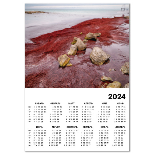 Календарь Берег Каспийского моря