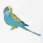 parrot wavy