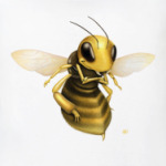 Bee
