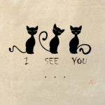 'кошки тебя видят'