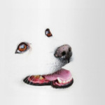 ArtDog