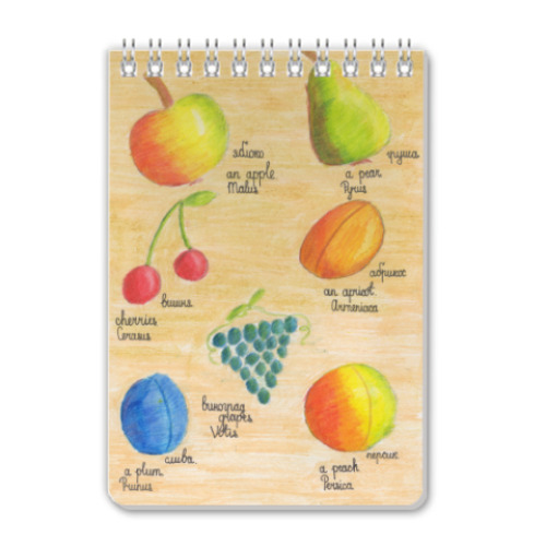 Блокнот 'Fruits'