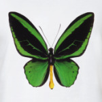 Бабочка GREEN