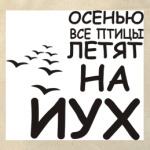 Осенью все птицы летят на йух