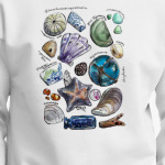 Руководство beachcombing на Сахалине