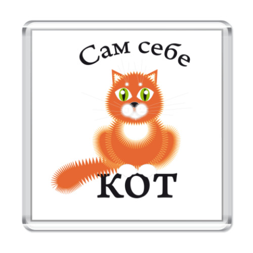 Магнит  сам себе кот