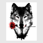 Волк с розой