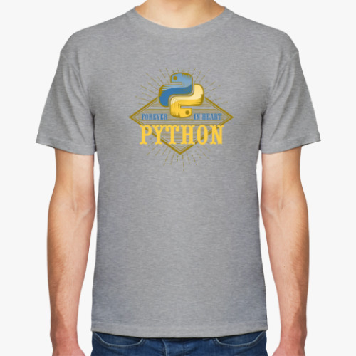 Футболка Python