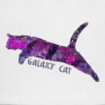 Галактический кот