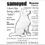 FAQ.Samoyed