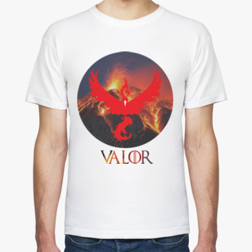 Футболка Pokemon GO (Team Valor)