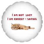Я не ленивый, я энергосберегающий. Смешной кот.